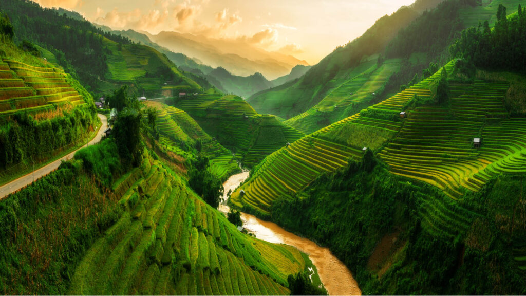Pride Drives Vietnam - Saigon Gay Tours.
