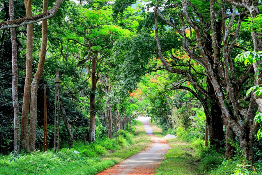Pride Drives Vietnam - Saigon Gay Tours.